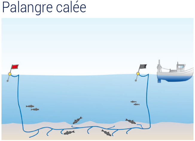 Digoin. S'initier à la pêche aux engins et filets