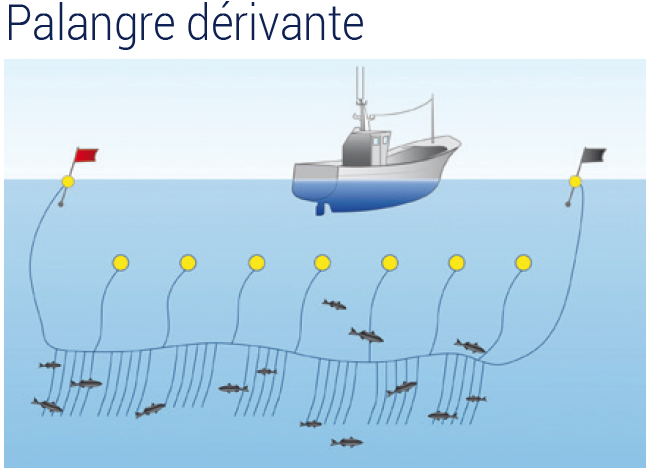 Digoin. S'initier à la pêche aux engins et filets