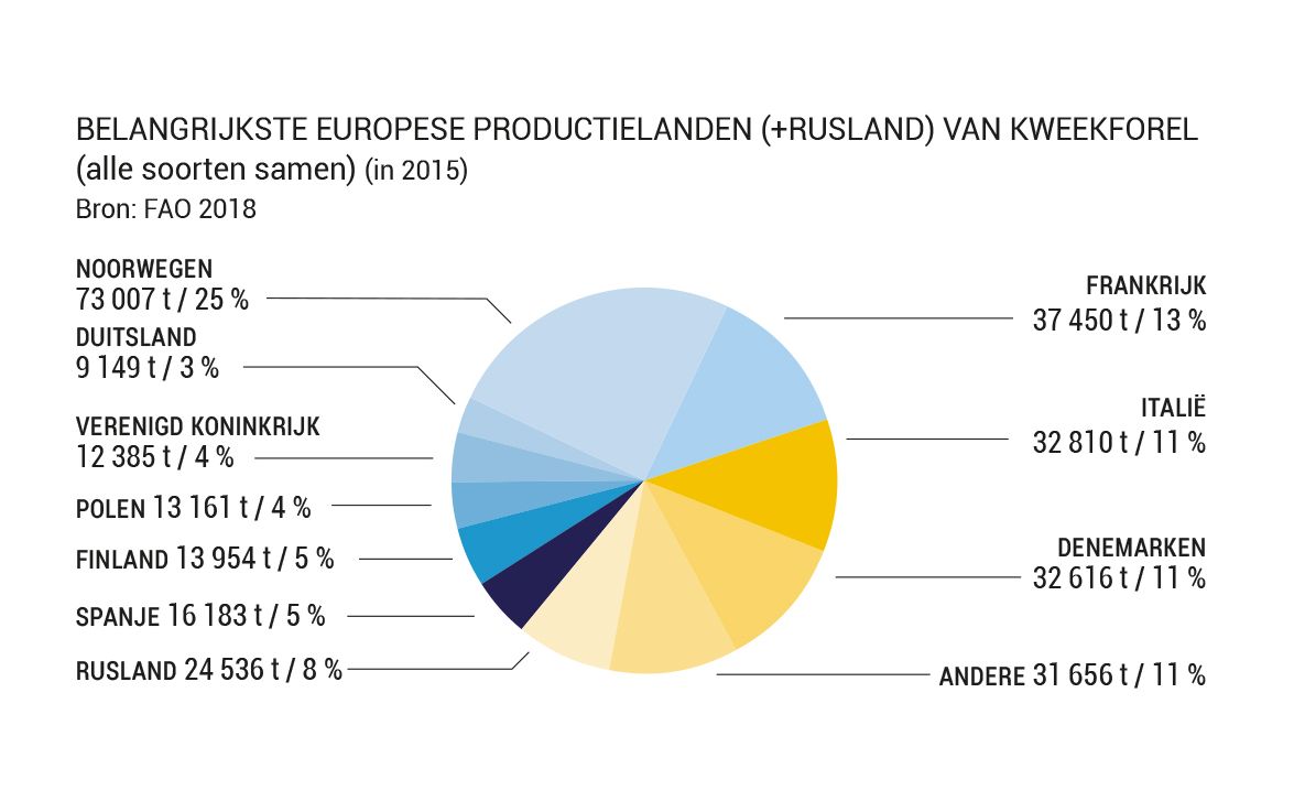 metalen Groene bonen Farmacologie Forel | Zeevruchtengids