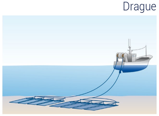 Digoin. S'initier à la pêche aux engins et filets